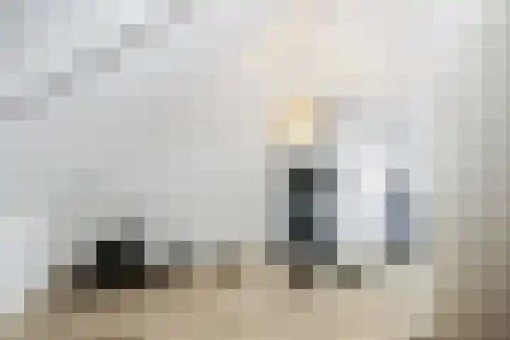 Portalaan 34 Naaldwijk thumbnail 29