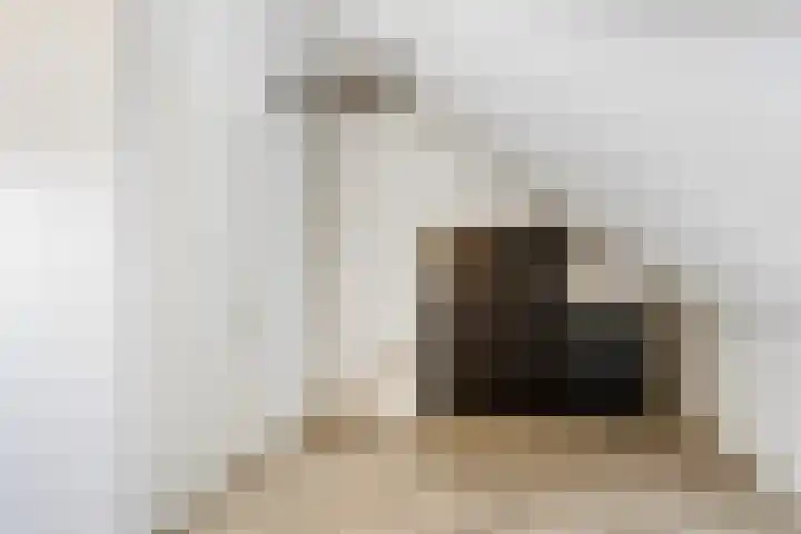 Portalaan 34 Naaldwijk thumbnail 32