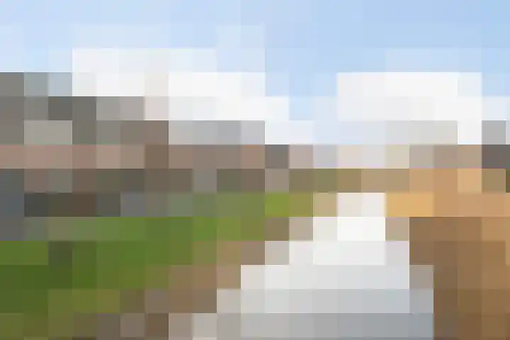 Portalaan 34 Naaldwijk thumbnail 36