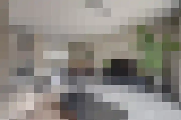 Portalaan 40 Naaldwijk thumbnail 12