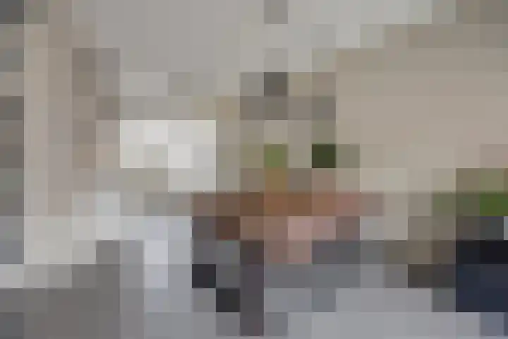 Portalaan 40 Naaldwijk thumbnail 13