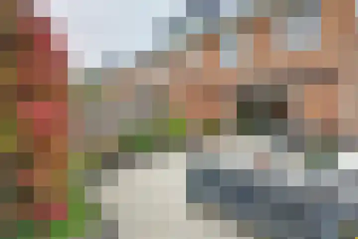 Portalaan 40 Naaldwijk thumbnail 33