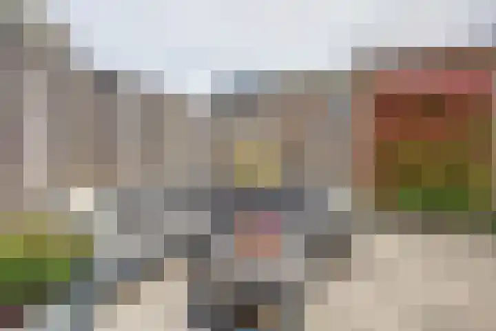 Portalaan 40 Naaldwijk thumbnail 34
