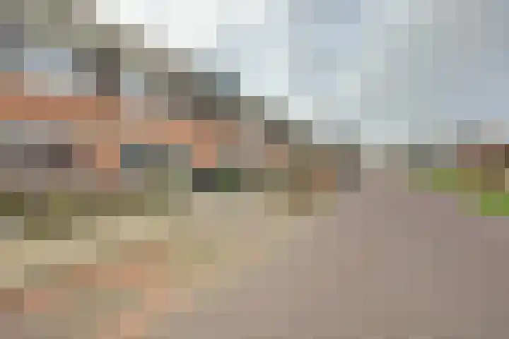 Portalaan 40 Naaldwijk thumbnail 37