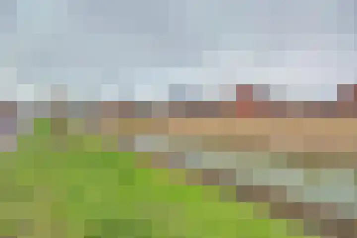 Portalaan 40 Naaldwijk thumbnail 38