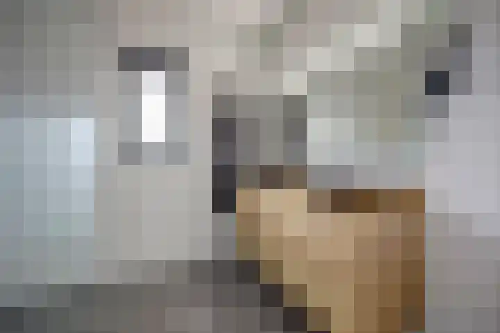 Portalaan 40 Naaldwijk thumbnail 5