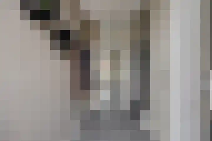 Portalaan 40 Naaldwijk thumbnail 8