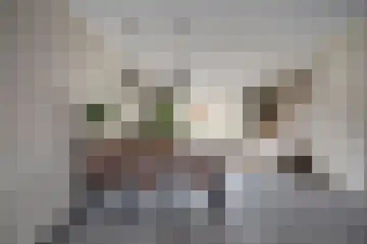 Portalaan 40 Naaldwijk thumbnail 9