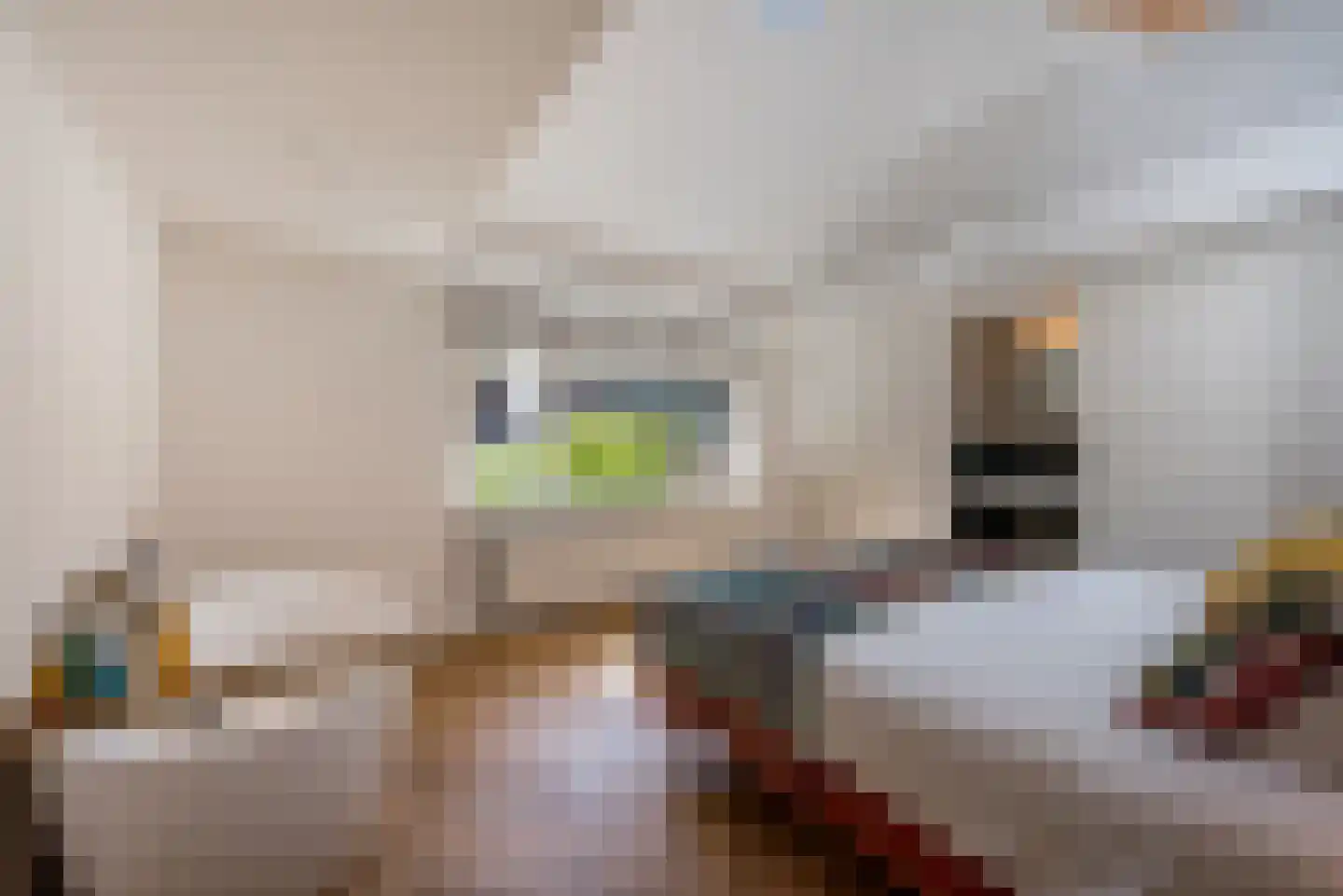 Portbeemden 6 Eygelshoven thumbnail 20