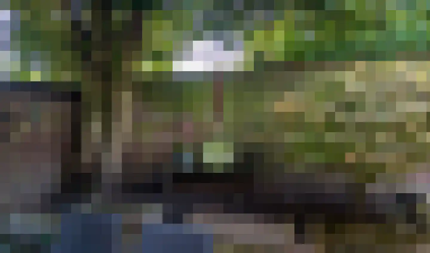 Portbeemden 6 Eygelshoven thumbnail 36
