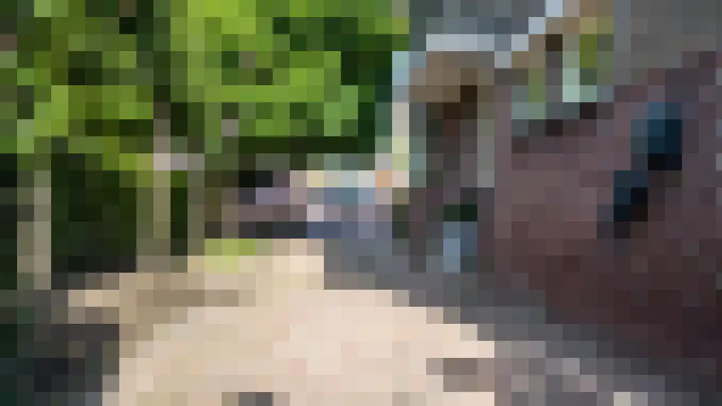 Portbeemden 6 Eygelshoven thumbnail 39
