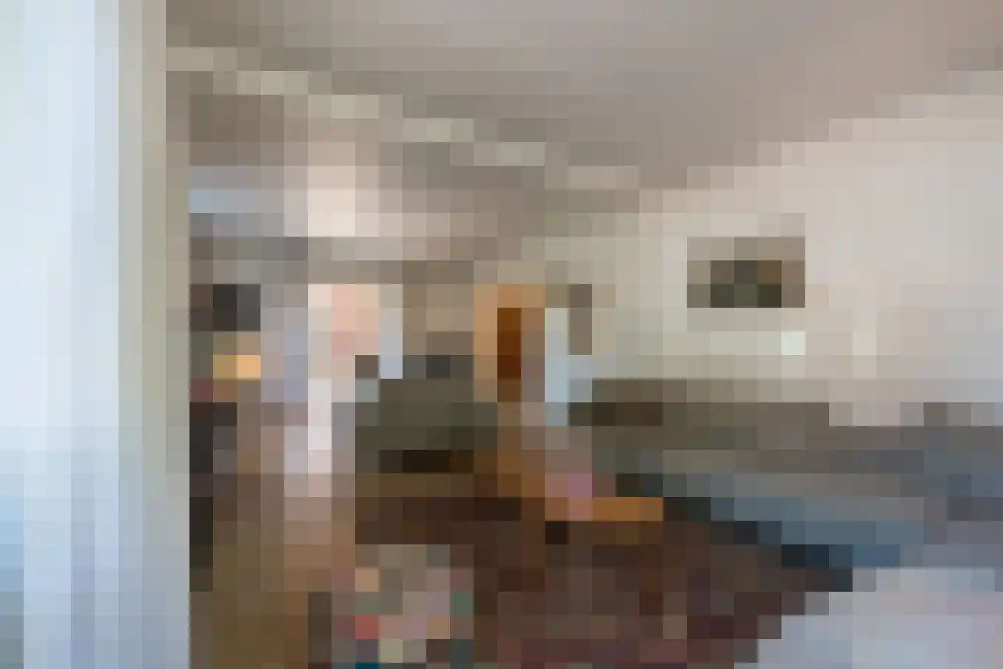 Portbeemden 6 Eygelshoven thumbnail 8
