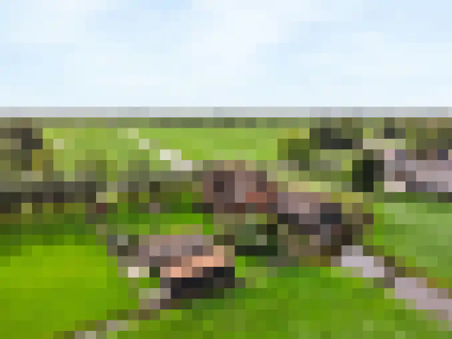 Portengen 114 Kockengen thumbnail 6