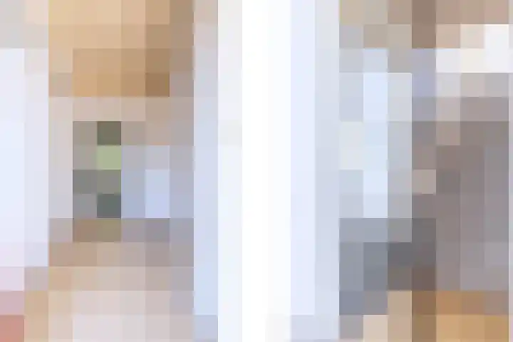 Portlanderdijk 2 Nieuw Heeten thumbnail 28