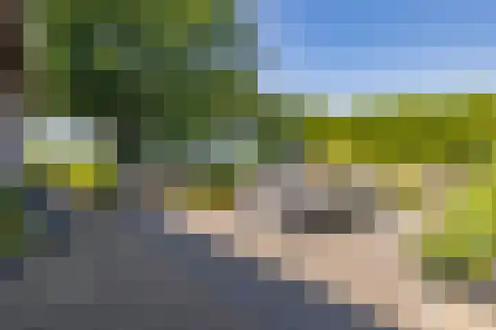Portlanderdijk 2 Nieuw Heeten thumbnail 37