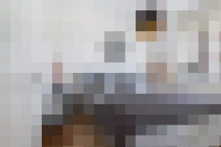 Portlandse Baan 140 Rhoon thumbnail 21