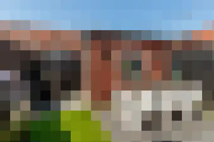 Portlandse Baan 140 Rhoon thumbnail 38