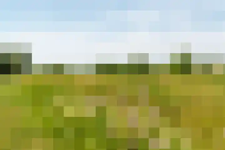 Portlandse Baan 140 Rhoon thumbnail 42