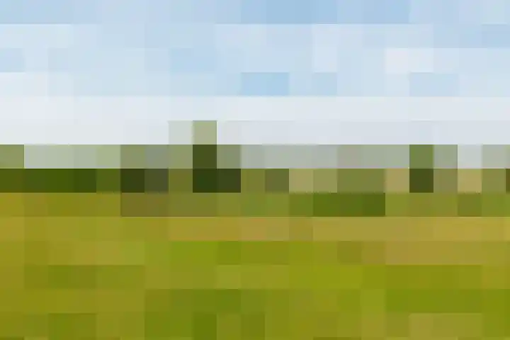 Portlandse Baan 140 Rhoon thumbnail 43