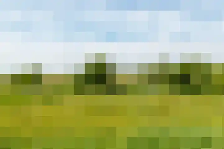 Portlandse Baan 140 Rhoon thumbnail 44