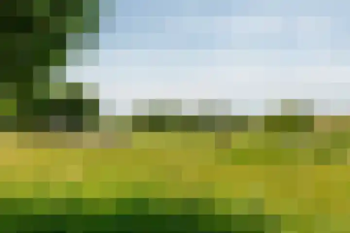Portlandse Baan 140 Rhoon thumbnail 45