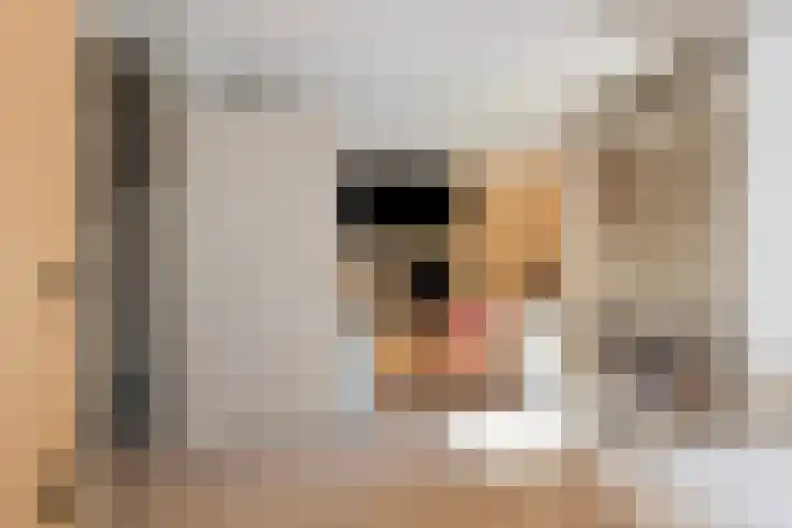 Portlandse Baan 159 Rhoon thumbnail 16