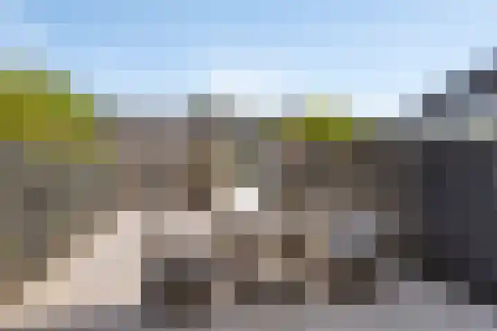 Portlandse Baan 159 Rhoon thumbnail 23