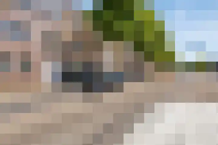 Portlandse Baan 159 Rhoon thumbnail 26