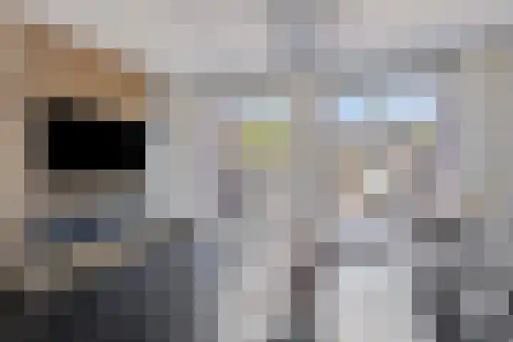 Portlandse Baan 159 Rhoon thumbnail 5