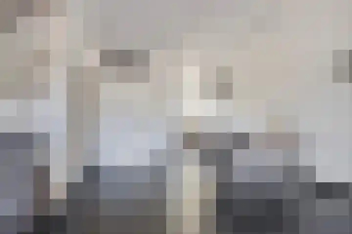 Portlandse Baan 159 Rhoon thumbnail 7