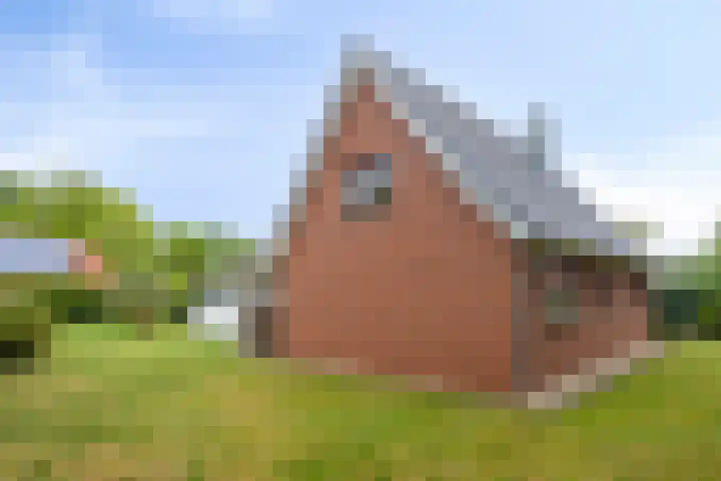 Portlandweg 6 Schoonebeek thumbnail 18