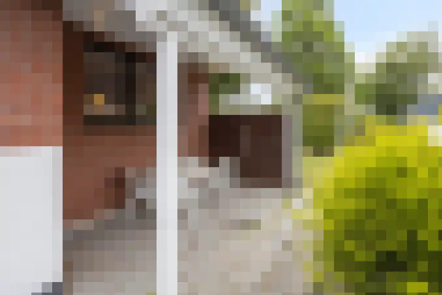 Portlandweg 6 Schoonebeek thumbnail 20