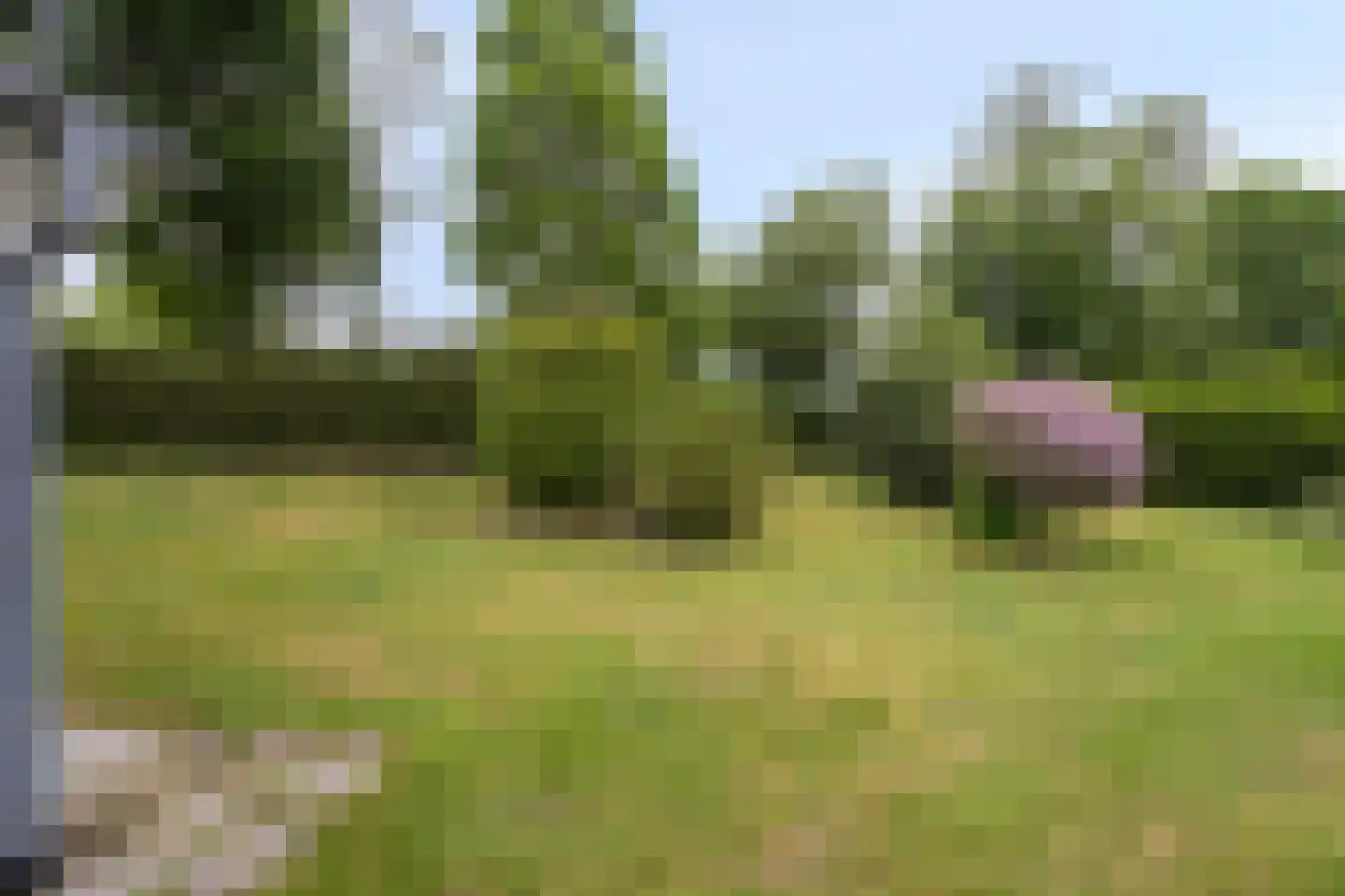 Portlandweg 6 Schoonebeek thumbnail 22