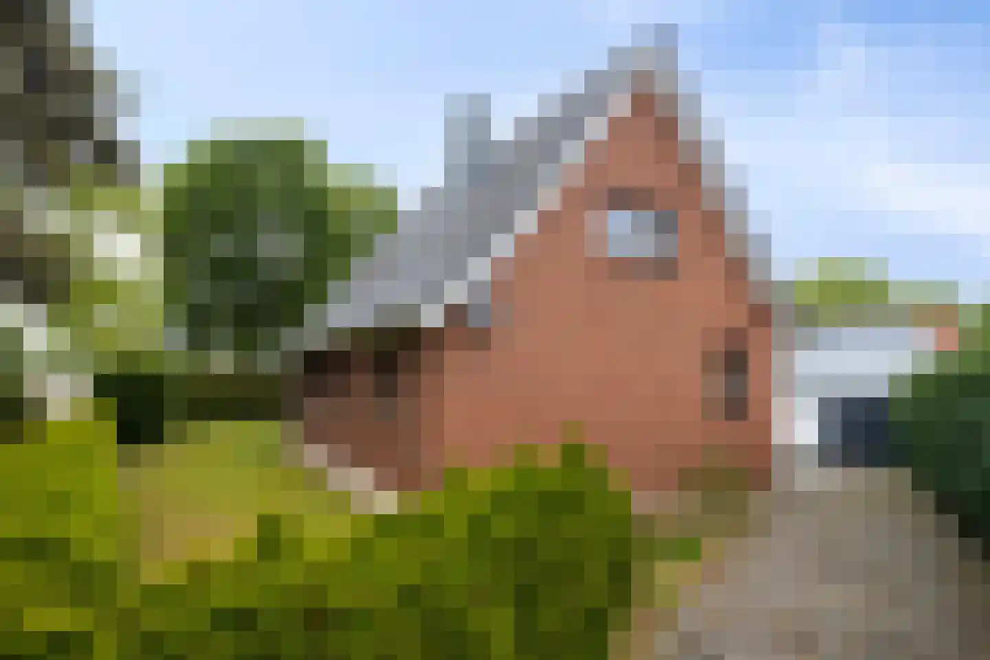 Portlandweg 6 Schoonebeek thumbnail 24