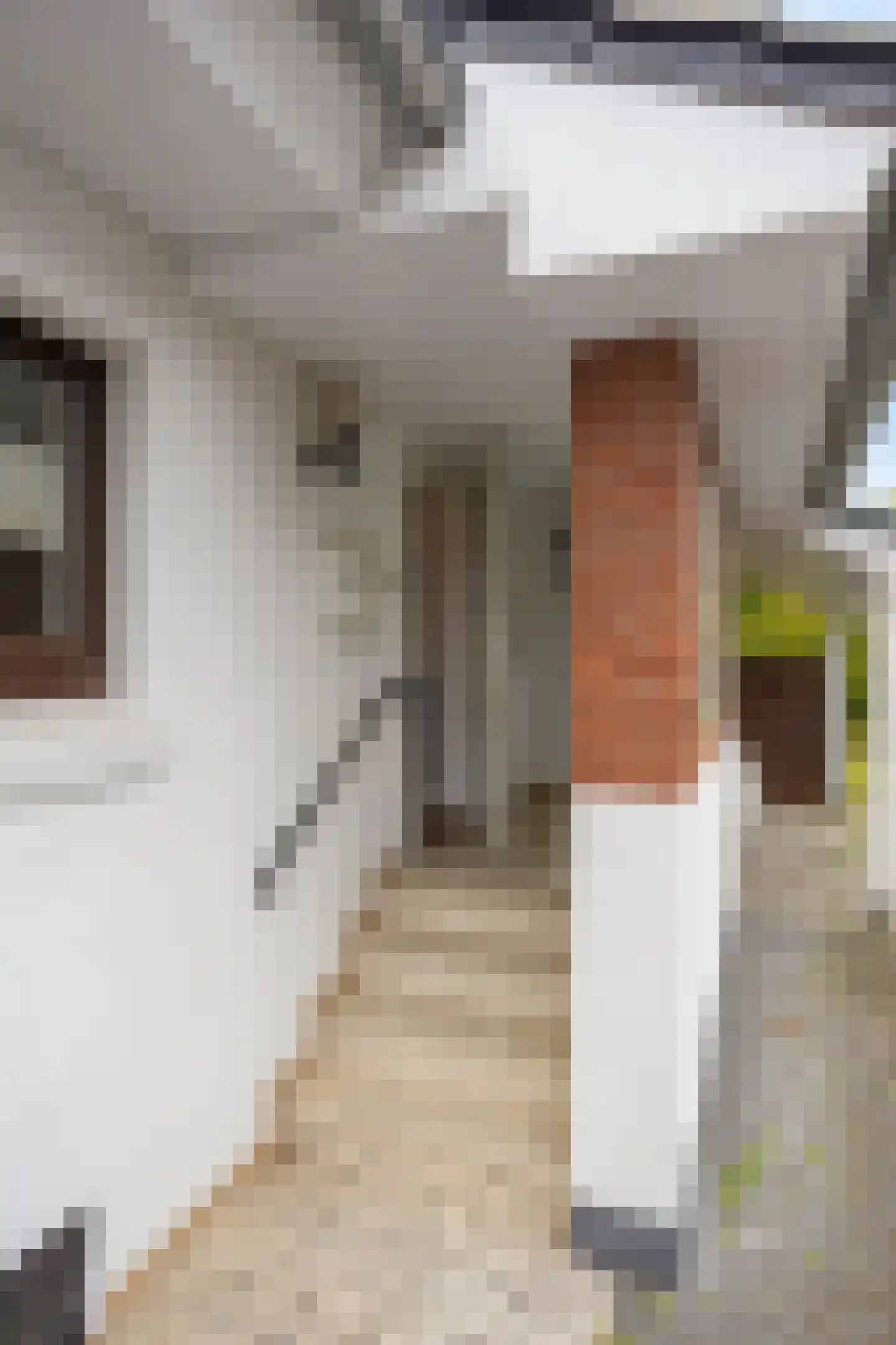 Portlandweg 6 Schoonebeek thumbnail 5