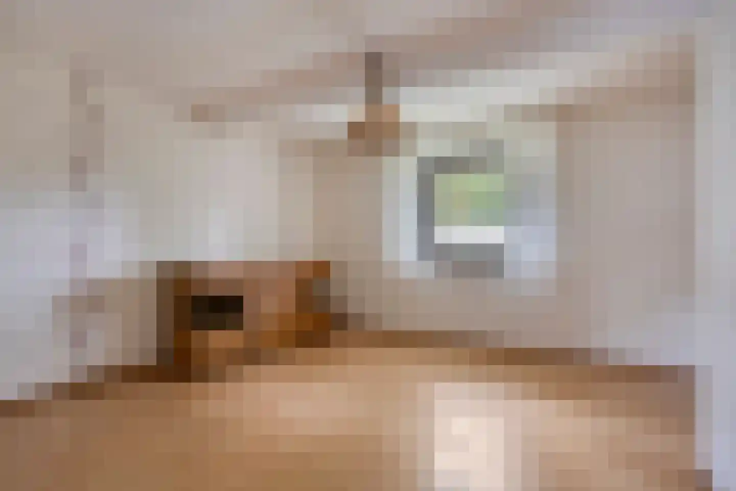 Portlandweg 6 Schoonebeek thumbnail 9