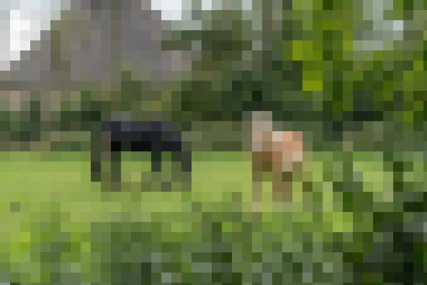 Portmawei 3 Hantumhuzen thumbnail 19