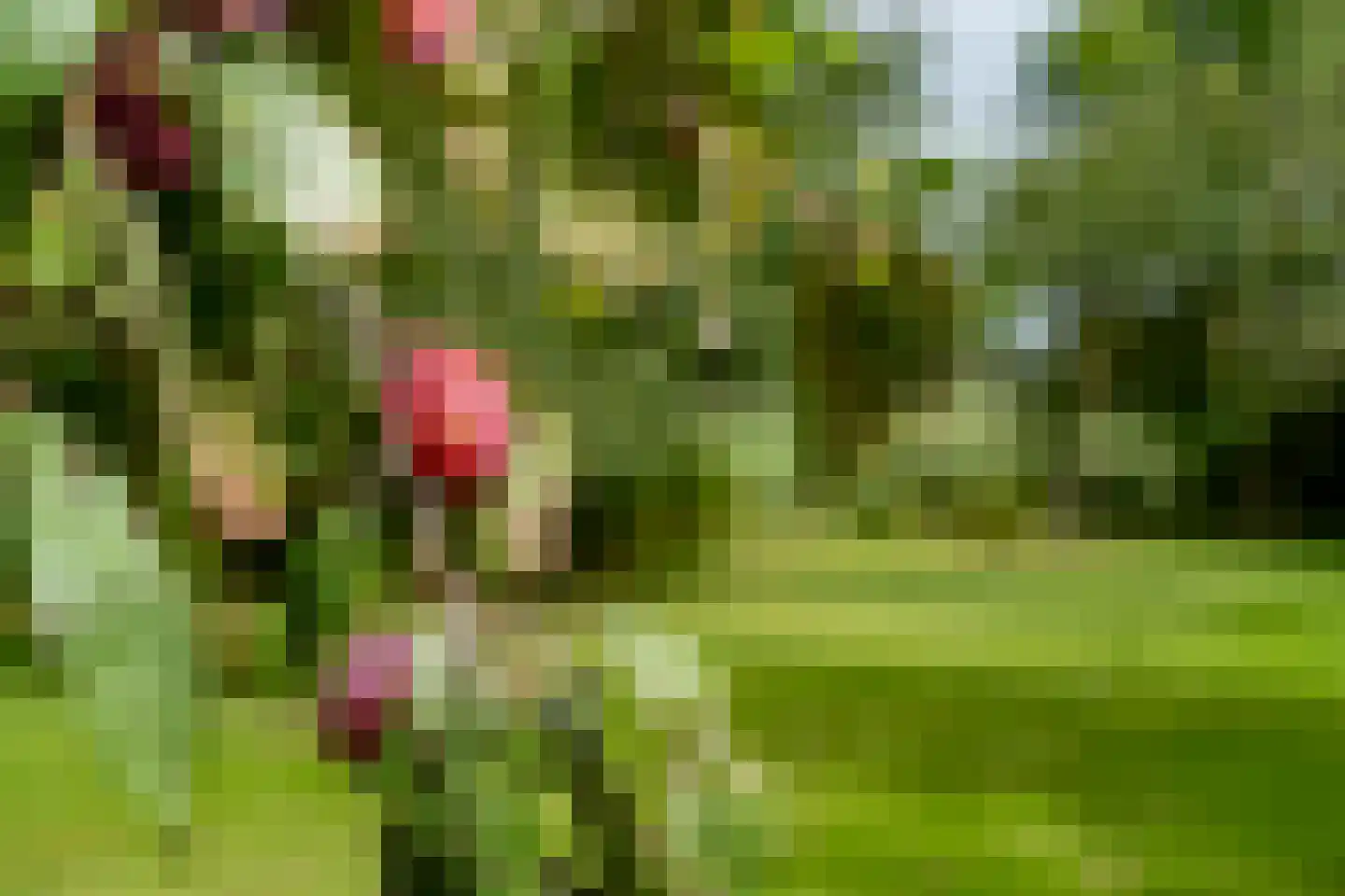 Portmawei 3 Hantumhuzen thumbnail 27