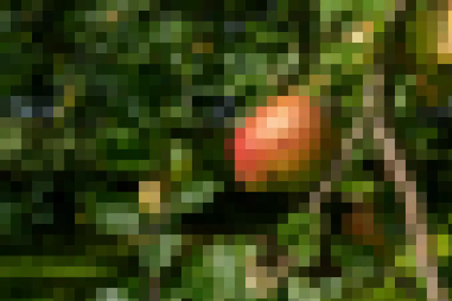 Portmawei 3 Hantumhuzen thumbnail 28