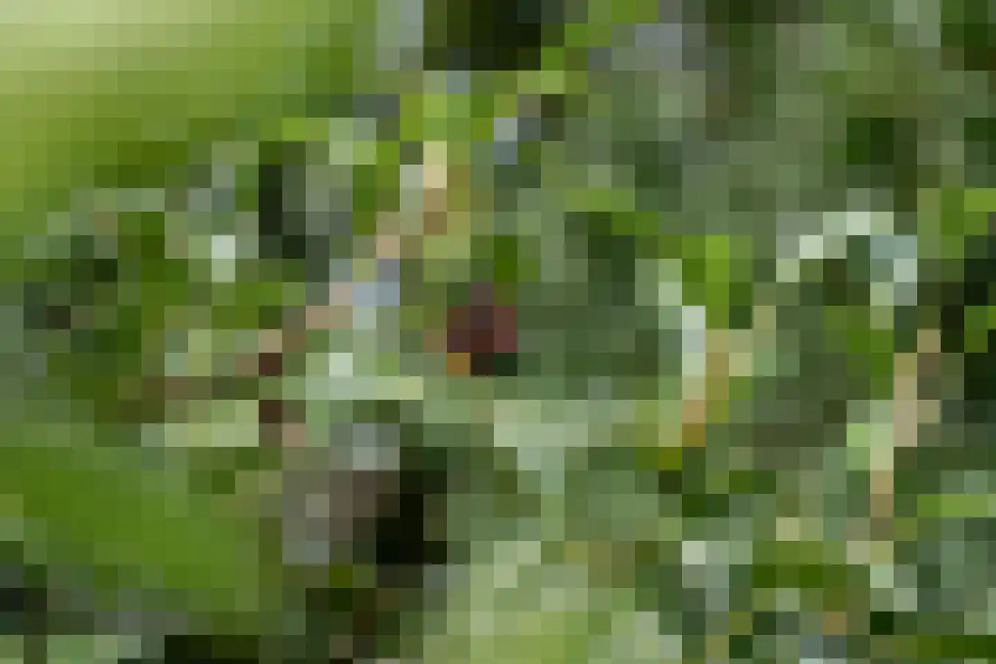 Portmawei 3 Hantumhuzen thumbnail 29