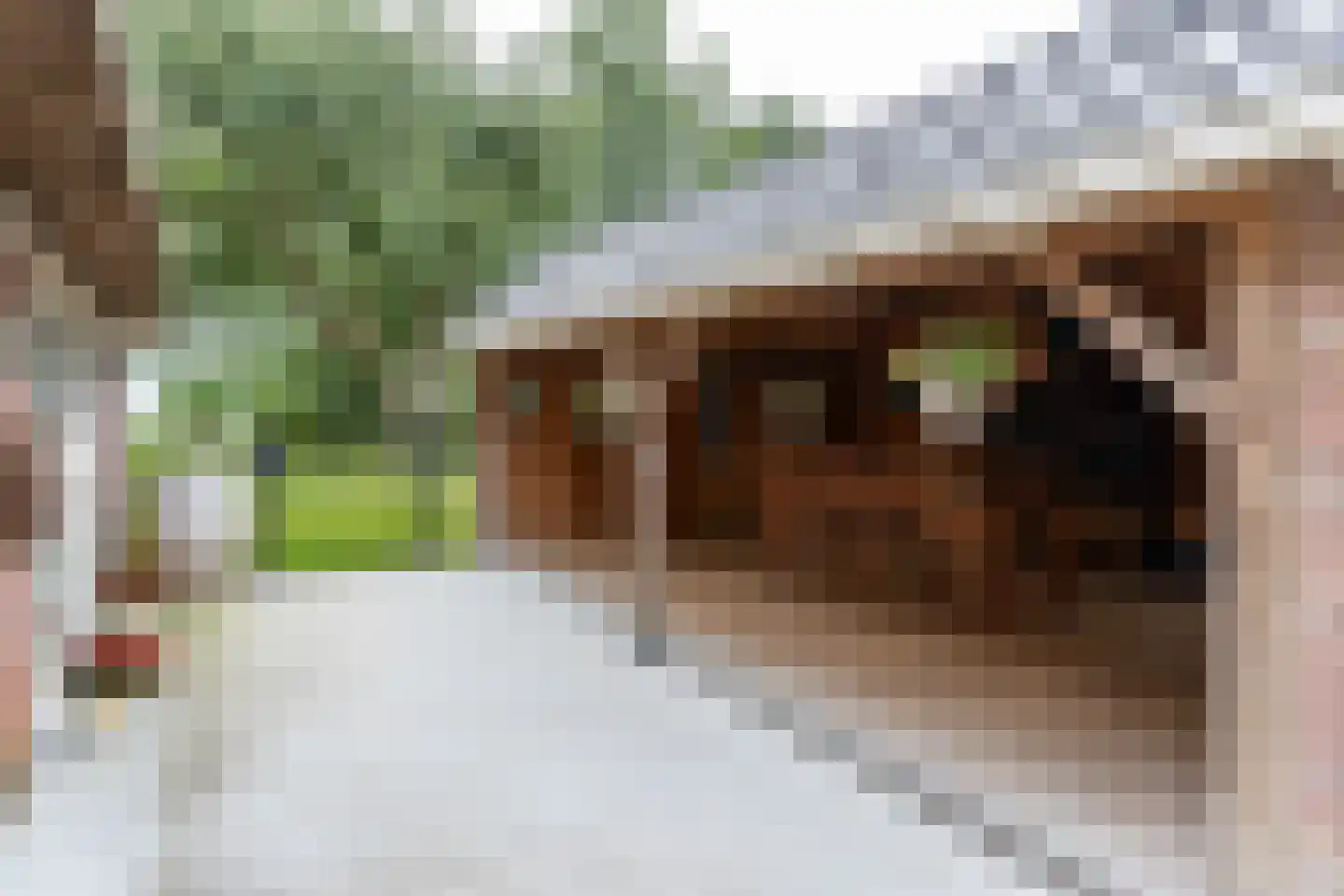 Portmawei 3 Hantumhuzen thumbnail 32