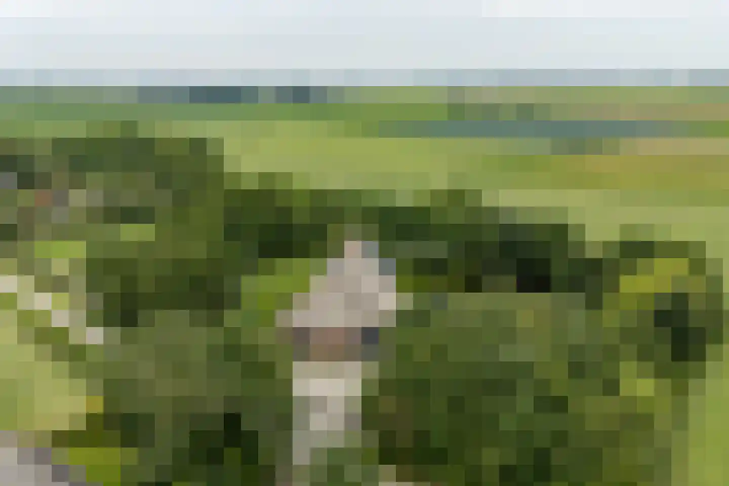 Portmawei 3 Hantumhuzen thumbnail 5