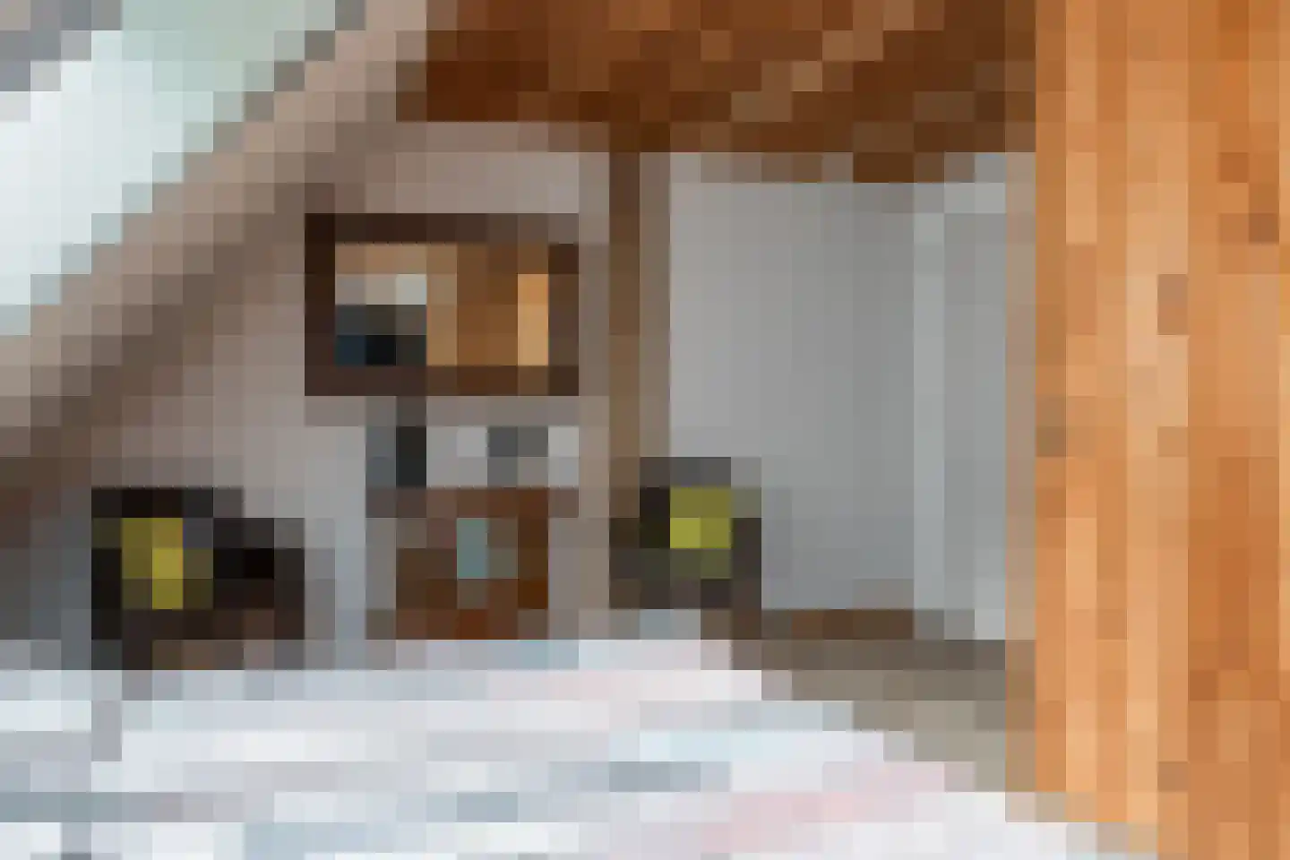 Portmawei 3 Hantumhuzen thumbnail 70