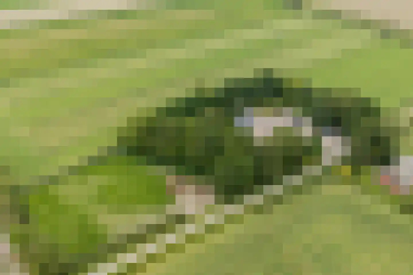 Portmawei 3 Hantumhuzen thumbnail 8