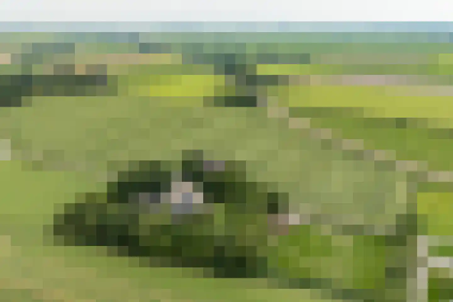 Portmawei 3 Hantumhuzen thumbnail 86