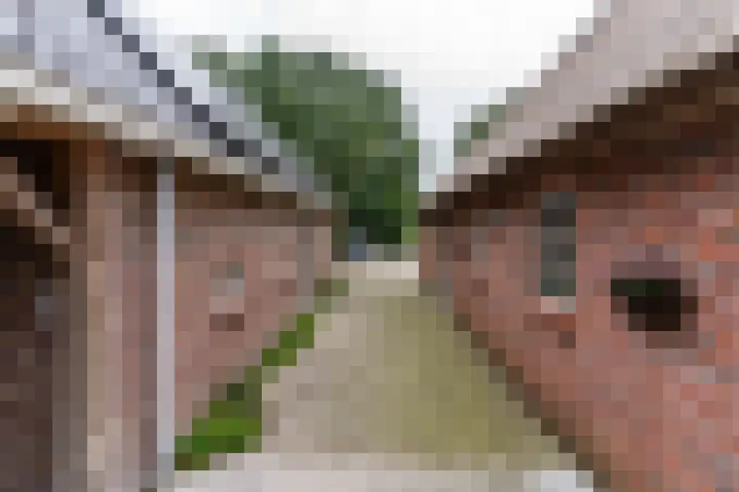Portmawei 3 Hantumhuzen thumbnail 92