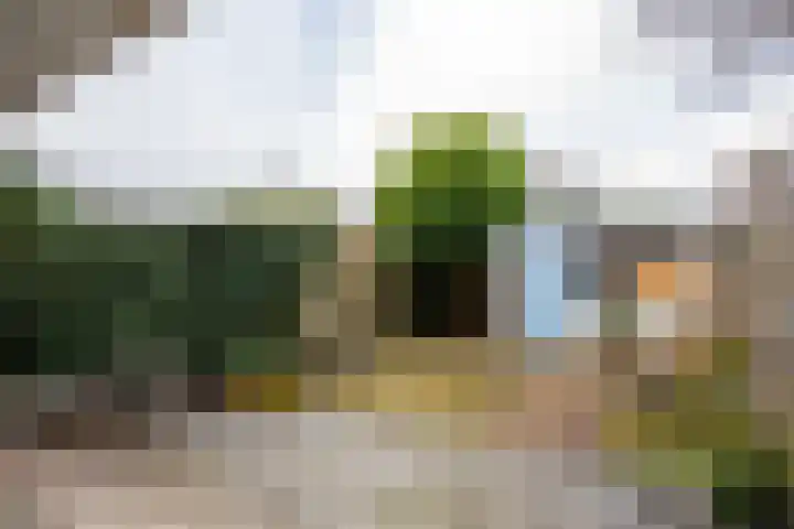 Porto Buenolaan 3 Ouderkerk aan de Amstel thumbnail 16