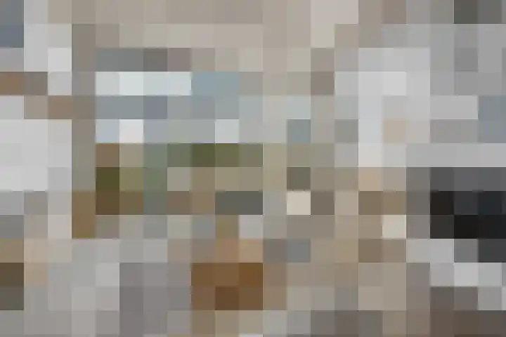 Portugalkade 101 Almere thumbnail 10