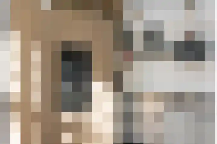 Portugalkade 101 Almere thumbnail 18