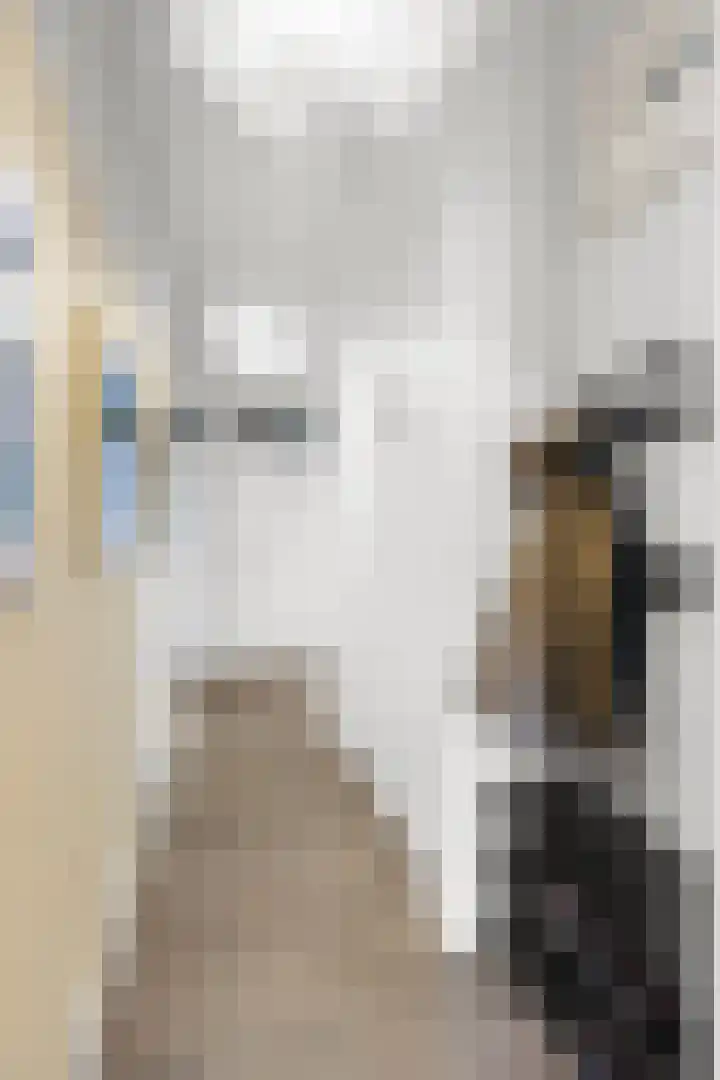 Portugalkade 101 Almere thumbnail 28